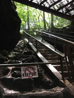 冷気吹き出す鳴沢氷穴