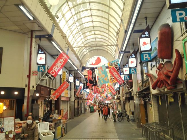 12月中旬に大阪忘年会遠征を1回こなした後、年末年始に帰省で再び関東-関西<br />普通列車往復を企てます。<br />往路は夜行臨時快速列車のムーンライトながらを利用します。<br /><br />かなり適当に撮った写真が多いうえ、突然ワープ(笑)するところも有りますが、メモ代わりの備忘録ということでお許しください。