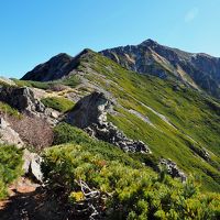 仙丈ヶ岳地蔵尾根 / 豪快で荒々しい仙丈ケ岳