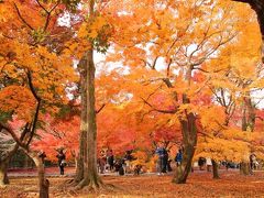 東福寺の紅葉は　やっぱりすごい！