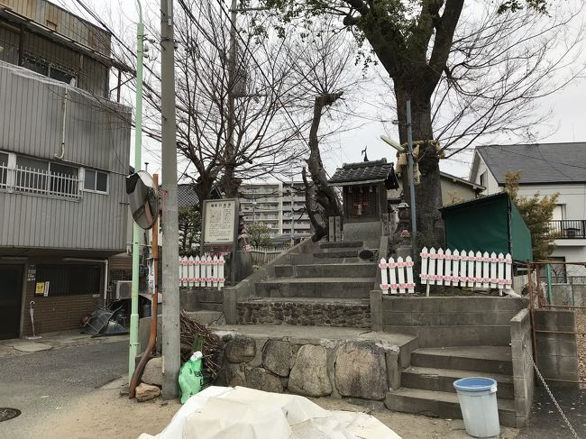阪急塚口駅北口の改札を出る。<br /><br />塚口城跡は、阪急神戸線(阪急塚口駅)北側・阪急伊丹線の東側に位置する。<br /><br />北口の改札口は阪急伊丹線の西側にある。<br />伊丹線の踏切を渡ると塚口城跡内に入る。<br /><br />塚口城は、塚口御坊の寺内町を周囲を土塁と堀で囲み、北町門・清水町門・東町門・南町門の4箇所に虎口があった。<br /><br />遺構は土塁跡と堀跡。<br />東町門跡は、水路(堀跡)脇にあり、祠が建った土塁跡が残り、城跡の面影が最も残っている。<br />塚口御坊跡には正玄寺が建っている。<br /><br />区画整備された様子のない塚口城跡内と思われる住宅区域は、直線的ではない道幅の狭い入り組ん道路と曲折した水路の流れが、方向感覚を無くす複雑な住宅街の中にある城跡だった。<br /><br />城跡を出て北側に歩くと、ショッピングモールつかしんに出る。つかしんに併設されてた日帰り温泉「湯の華廊」に入浴する。最寄りの駅は阪急伊丹線稲野駅になる。<br />ショッピングモールつかしん(湯の華廊前が乗り場)からは、阪急塚口駅行きの無料送迎バスが走っており、乗車。阪急塚口駅に戻る。<br /><br />「湯の華廊」<br /> 入浴料900円(高い感がある)。<br /> 湯質は、鉄分の臭いのする茶褐色源泉掛け流しの <br /> 塩化物泉。