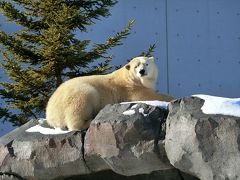 札幌（二条市場・丸山動物園）