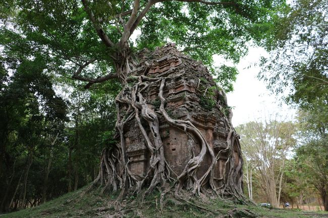いよいよ郊外五大遺跡のひとつ、最初は、昨年カンボジア三番目の世界遺産に登録された、古代イシャナプラの都、ソンボープレイクックを訪ねて行く。