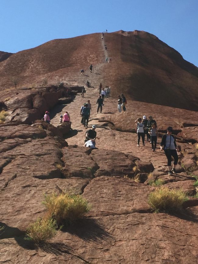 夫婦2人で遅めの夏休み!もうすぐ登れなくなるウルル登山を目指して、3都市周遊のオーストラリア旅行を満喫しました☆【6日目ウルル登山再挑戦(エアーズロック3日目シドニーへ)】<br /><br /><br />1日目 夜便で関空出発<br />2日目 早朝ケアンズ到着 セグウェイ体験<br />3日目 ケアンズ熱気球、動物探検ツアー <br />4日目 エアーズロック到着サウンドオブサイレンス <br />5日目 ウルルサンライズ→サンセット<br />6日目 ウルルサンライズ再挑戦→シドニーへ ←今ここ<br />7日目 シドニー散策 オペラハウスなど<br />8日目 シドニー散策 ロックス地区やフィッシュマーケット<br />9日目 シドニーから関空へ