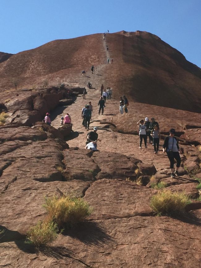 夫婦2人で遅めの夏休み！もうすぐ登れなくなるウルル登山を目指して、3都市周遊のオーストラリア旅行を満喫しました☆【6日目ウルル登山再挑戦（エアーズロック3日目シドニーへ）】<br /><br /><br />1日目　夜便で関空出発<br />2日目　早朝ケアンズ到着　セグウェイ体験<br />3日目　ケアンズ熱気球、動物探検ツアー　<br />4日目　エアーズロック到着サウンドオブサイレンス　<br />5日目　ウルルサンライズ→サンセット<br />6日目　ウルルサンライズ再挑戦→シドニーへ　←今ここ<br />7日目　シドニー散策　オペラハウスなど<br />8日目　シドニー散策　ロックス地区やフィッシュマーケット<br />9日目　シドニーから関空へ