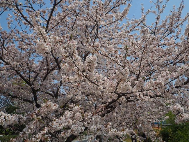 2019年4月 週末温泉旅 in 鬼怒川 ～ ポルシェマカンを借りて行ってみる「ホテルハーヴェスト鬼怒川」