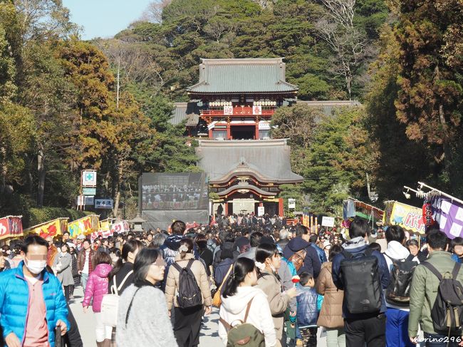 2019年の初詣は、鎌倉の鶴岡八幡宮、荏柄天神社、鎌倉宮へ出掛けました。<br />お天気が良かったので、混雑覚悟で出掛けましたが、やはり鶴岡八幡宮はすごい人で、社殿にたどり着くまで、何度もロープ規制がありました。<br /><br />荏柄天神社は、ご存知の通り、学問の神様菅原道真公をお祀りしており、受験シーズンを前に合格祈願に訪れた人で溢れていました。<br />鎌倉で最も早く咲くといわれる梅の花は、まだ数輪が咲いているだけでした。<br /><br />鎌倉宮は、八方除け・厄除けのご利益があるといわれ、こちらも多くの人がお詣りされていました。<br />鳥居の前には、早咲きの桜（河津桜）が咲いていました。<br />