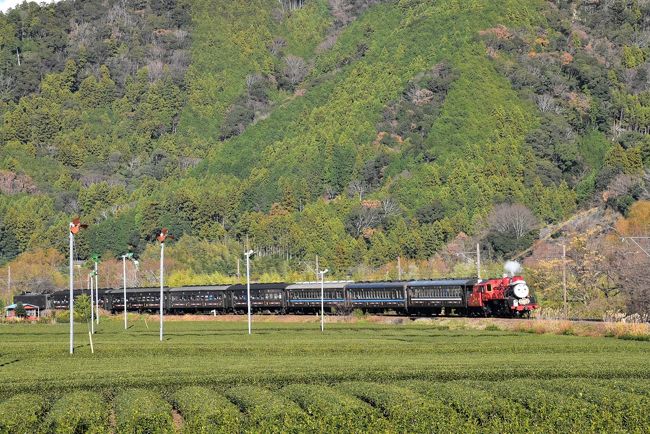 大井川鉄道では、SL「きかんしゃトーマス号」や「ジェームス号」が今年も12月の8日間だけクリスマス特別運転します。<br />赤いサンタ帽子を煙突に被り、クリスマスプレゼントを機関車に連結されたテンダーに積み、子供たちに夢を載せて走ります。<br />また、高度経済成長期に近鉄・南海・東急で活躍していた電車が、大井川鉄道で第二の人生を過ごしており、まるでSLと電車の博物館のようです。<br /><br />今日はクリスマス・イブの12月24日。<br />懐かしい電車たちに乗り、サンタクロースになったトーマス号とジェームス号に会います。<br />今晩の宿は窓から電車が見える「川根温泉ふれあいコテージ」に孫たちと泊まります。<br /><br />なお、旅行記は下記資料を参考にしました。<br />・大井川鐵道「DAY OUT WITH THOMAS クリスマス特別運転2018」「大鉄車両図鑑」<br />・THOMAS & FRIENDS「きかんしゃトーマスのすべて」<br />・島田市観光協会「大井川鐵道 抜里駅」<br />・川根温泉「ふれあいの泉」