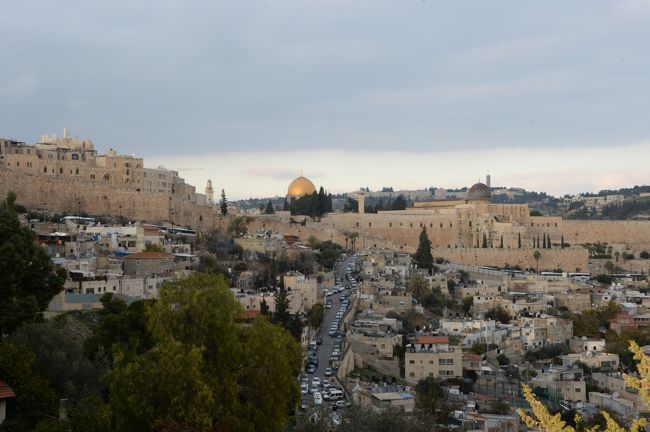 イスラエル８日間の旅（５）マサダ、エルサレム（シオンの丘）