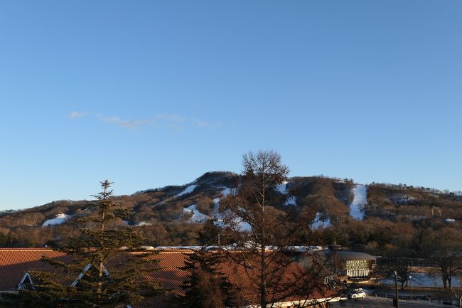 2019年1月9日-12日、軽井沢へ行きました。。<br />愛犬と一緒にスキーとグルメを楽しんできました♪<br /><br />☆Vol.1<br />東京から北陸新幹線グランクラスで軽井沢へ。<br />車窓から冬の風景。<br />榛名山や赤城山が美しい。<br />長いトンネルを抜けると真っ白の浅間山。<br />駅から軽井沢プリンスホテルへ。<br />ドッグコテージで愛犬がお出迎え。<br />すでに黄昏の風景。<br />一瞬の美しさにはっとする。<br />ドッグコテージは暖かい。<br />まったりとくつろぐ♪