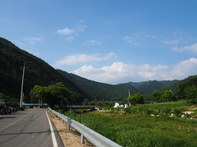在日韓国人である夫の本籍地へ行ってきました。<br />日本で生まれ育った夫も、もちろん私も始めての訪問。<br />ご先祖様のお墓は、管理する人が居ないという理由で数年前に墓じまいをして、もうありません。<br />高齢な夫の父も日本で生まれ育っていますが、父は2度本籍地へ訪問したことがあり、墓じまいにも同席したそうです。<br />でも、夫も私も韓国の親族にも会った事がありません。<br />どこにいるのかも知りません。<br />訪ねる人も頼る人もいませんが、ただただ「戦前に日本へやってきた夫の祖父母の故郷を一度は見たい」という思いで「忠清北道・永同郡・如意里」へ行ってきました。<br />父の持っている写真を頼りにお墓の場所を探しましたが、何せ画素が悪く手がかりほとんどナシ・・・。<br />でも、なんとか山の稜線などで方向を定め、お墓があったであろう方向に、お線香をあげて手を合わせてきました。<br />そこは、日本の田舎の風景とあまり変わらない、とても心が落ち着く場所でした。
