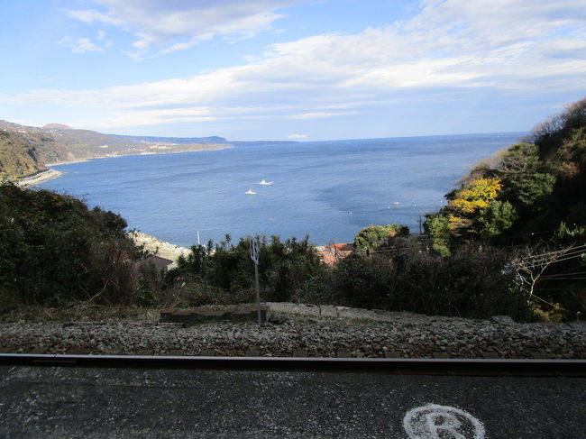 新年早々、ご挨拶も兼ねてセンセイ（自称）のご家族と熱川温泉へ旅行に行きました。<br />今回はちょっと奮発して、私達にしてはお高いお宿です。<br />奈良偲の里　玉翠<br />（早割利用で１人1泊17,600円）<br />部屋数が少なく、大きな建物ではないので、部屋から食事処、大浴場に近く、腰が悪い義母も大満足でした。