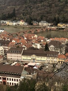 『☆歴史を考える旅ドイツ・オランダ☆』ハイデルベルク編