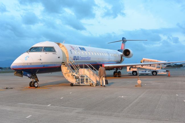 ユナイテッド航空は全日空と同じスターアライアンスに所属しているので、マイレージで全日空便に搭乗することができます。国内線では、目的地に乗継便で行っても直行と必要マイルは同じ。最大2回乗り継ぎできるため、5000マイルで3回搭乗が可能。これを前々から一度体験してみたかった。<br /><br />羽田空港と成田空港は同じ東京になるので、羽田発成田行きというのは発券できない。そこで東京（羽田or成田）→静岡空港を検索する。静岡空港の全日空便は札幌と沖縄しか路線がないが、仕事の関係上ウィークデーの休みがなかなか取れず、かろうじて金曜日の休暇がとれそうだったので、12月7日（金）の静岡空港発か、12月8日（土）の静岡空港着を考えた。<br /><br />12月初旬といえども札幌は寒そうなので沖縄方面をさがすが、結構満席である。そこで静岡空港はあきらめ、次に東京に近い空港ということで名古屋空港を目指すことにした。というのも12月8日の名古屋→成田の全日空便が6000円ちょっとで出ていたのである。<br /><br />本来は片道で３回搭乗をしたかったが観光もしたい。結果として、羽田→松山→名古屋をユナイテッド航空のマイレージプラスで発券した。これで5000マイルである。ちなみに、座席指定は全日空に電話が必要なのでさっそく電話、すべて非常口席を確保した。<br /><br />行程は以下の通り<br />12月7日（金）	NH683　 羽田07:25→松山09:00<br />NH3158　松山17:15→名古屋18:15<br />　（名古屋で宿泊　レッドプラネット名古屋錦）<br />12月8日（土）	NH340  名古屋14:40→成田15:55<br />こうして、松山で7時間程度・名古屋で午前中の観光を可能な日程とした。<br />　<br /><br />2018.12.7（金）<br /> 早朝家を出て、浜松町、モノレールで羽田空港へ。<br />ビジネスラウンジでベーグルを食べ、プレミアムチェックインを使い通過。<br />ANA583便　07:25発松山09:00着。定刻通り。座席は10D。当初はもう少し後ろの非常口(30D)だったが、チェックインの際バルクヘッドがすべて空いているとのことで指定し直してもらった。<br /><br /><br />