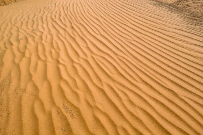 モーリタニアでサハラ砂漠を満喫！2アマトリッチ砂丘