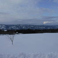 新潟雪遊び旅行！