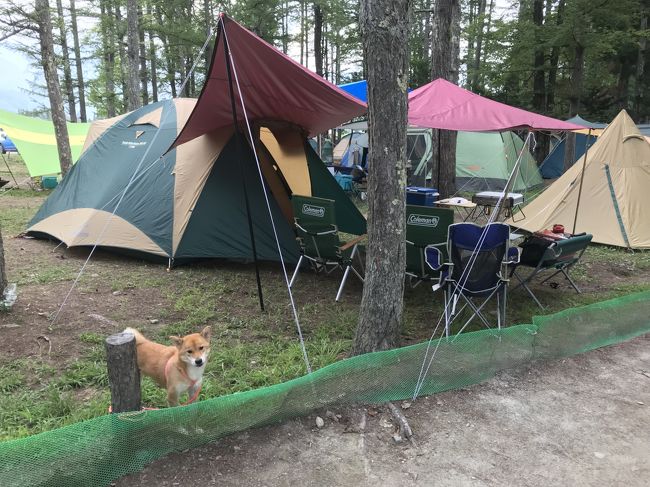 2018年の夏休み、従兄弟が九州からスカイマークのスカイキッズを利用して愛知へ。<br />年に1度会えるか？の距離なので、子供達は大喜びです。<br /><br />長島スパーランドへ行った後は、長野県白馬市でキャンプへ出かけました。<br />せっかくなので、白馬拠点に諏訪湖花火大会、黒部ダムから立山への観光も。<br /><br />2018年の夏は、酷暑で愛知は本当に暑くて参りました。<br />白馬は朝夕は寒い位、涼しかったです。<br /><br /><br />