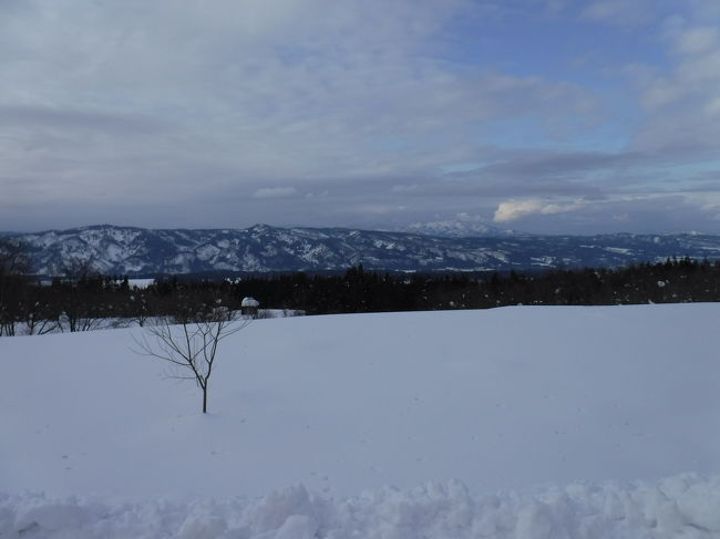 雪に触れる機会が少ない都会派の娘さん&amp;息子さん。<br />そんな二人に雪遊びをプレゼントしようということで、豪雪地帯の十日町へ。遅くなったけど、これがお父さんお母さんからのお年玉です(笑)