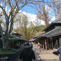 秋の長野・群馬を巡る旅【2】～軽井沢（白糸の滝・星野温泉）～