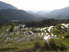 熊野・丸山千枚田観光