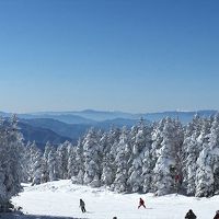 今年初めのスキーは、毎年恒例の志賀高原と岩菅ホテル