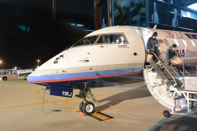 ユナイテッド航空のマイレージプラスを利用して、全日空の国内線を片道発券した。<br /><br />マイレージプラスの特徴は、目的地まで直行便でなくてもOK、2回乗り継ぎが可能であり、一度やってみたかった。で、今回は、羽田発(松山経由)名古屋行を発券した。<br /><br />松山までは「ユナイテッド航空マイレージプラス 特典旅行 日本国内大回りの旅① 松山編」をご覧ください。