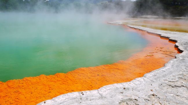 年末休暇を利用しての海外旅行、今年はニュージーランドに行ってきました。<br />オーストラリアは２回渡航歴があるのですが、ニュージーランドは初めて。<br />年末は早めの12/22から休暇が取れる予定で、夏ごろから計画して航空券やホテルの予約を済ませていたのですが、結局休みが12/28からとなり予定を変更しての出発となりました。訪問を予定していて断念したダニーデン、ミルフォードサウンドへは次回の楽しみにとっておきます。<br />今回の移動は北島・南島ともにレンタカーでしたが、大きなトラブルなく予定通り旅程をこなすことができました。<br /><br />12/27　仕事早退して成田空港へ　<br />12/28　深夜便　成田－オークランド乗り継ぎ、クライストチャーチに午後着(ニュージーランド航空) 　クライストチャーチ観光　YMCA泊<br />12/29　レンタカーで　テカポ湖、プカキ湖経由してアオラキ国立公園へ。到着後フッカーバレーをトランピング　トワイゼル泊<br />12/30　トワイゼルから再度アオラキ国立公園へ。　タスマン氷河、レッド・ターントラックをトランピング　アオラキアルパインロッジ泊<br />12/31　クライストチャーチに戻る途中でアカロアに寄り道、ジューシースヌーズホテル泊<br />1/1　朝空港へ　ニュージーランド航空でロトルアへ。着後バスでテ・プイア、レッドウッドフォレスト散策　ロトルアYH泊<br />1/2　朝レンタカーを借り　ワイオミング渓谷、ワイオタプサーマルワンダーランド、フカ滝、タウポ湖を観光後ナショナルパークへ　ナショナルパークYH泊<br />1/3　早朝からトンガリロクロッシング　ナショナルパークYH泊<br />1/4　ワカパパビレッジ、ワイトモグローワーム洞窟観光後オークランドへ　ジューシースヌーズホテル泊<br />1/5　オークランド市内観光　ワインヤードクォーター、デボンポート、マウントエデン等　その後オークランド空港へ<br />1/6　中国東方航空深夜便で上海経由成田空港　帰国