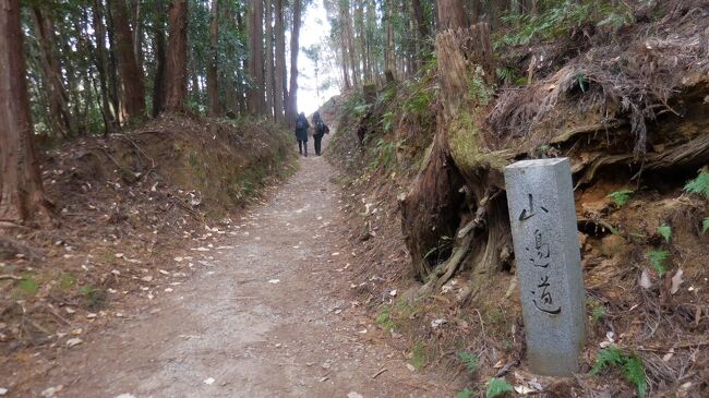　奈良盆地の東に連なる美しい青垣の山裾を縫うように、桜井から奈良に通じる古代の道があります。これが「日本書紀」にも記録がある「山の辺の道」です。道沿いには今でも多くの史跡や古墳があり、「記紀・万葉集」ゆかりの地名や伝説が残っている、まさに「古代ロマンの道」です。<br /><br />　「山の辺の道」は、ほぼ中間点の石上神宮（いそのかみじんぐう　天理市）を境に、北と南に別れています。一般に「山の辺の道」は桜井から天理までの「南コース」を指し、見どころの多くはこの範囲に集中しているので、歩く人も圧倒的にこちらが多いです。一方「北コース」は見どころが点在していて、車道を歩くことも多いので「南コース」に比べやや人気薄のようです。<br /><br />　万歩計は奈良に住んで３５年余り、この間「山の辺の道」を７０回近く歩いています。やはり「南コース」が多いですが、「北コース」も渋い魅力があります。７０回中１５回程度は南北全コースを通して歩いていますが、この場合３５ｋｍの長距離になり丸1日を要します。<br /><br />　今回は6年ぶりに南北全コース踏破にチャレンジしました。この道は真夏を除き季節ごとに魅力がありますが、万歩計は柿や蜜柑が色づく秋と冬枯れのこの時期を好みます。４トラベルにも「山の辺の道」の旅行記が多数アップされていますが、ここでは地元の道案内のつもりで少し詳しく書きました。<br /><br />　前半は桜井駅から石上神宮までの１４．５ｋｍです。<br />　では、出発しましょう！