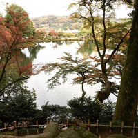 金沢で兼六園とひがし茶屋街散歩