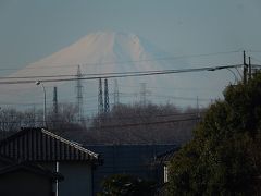 1月14日に見られた富士山