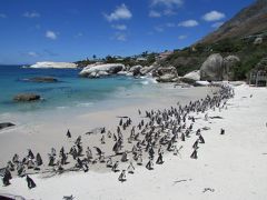 【2018-19南アフリカ】(4)喜望峰とペンギンと