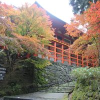 湖東・湖南・高野山・南山城 の寺社を巡る旅 №３（５日目・延暦寺）