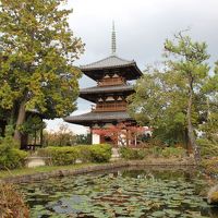 湖東・湖南・高野山・南山城 の寺社を巡る旅 №４（６日目 生駒山・斑鳩編）