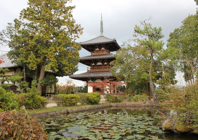 今回の旅の目的は「高野山へお礼参り」ですが、向う前に琵琶湖周辺や奈良などで雰囲気ある寺社に寄り道しながら向う「きままな旅」です。<br />札幌を出発して６日目、今日は宿泊したホテルの駐車場に車を置いて奈良中心部を回ろうと思ったのですが、フロントで「車はチェックアウトの時間までに出庫してほしい」と言われました。<br />奈良中心部は車を置く所に苦労しそうなので止めて、生駒山方面へ行くことにしました。<br />良く言えば臨機応変に行程を変える『きままな旅』です。<br />＊写真は、法起寺の三重塔<br /><br />〔行程〕<br />６日目（18/11/5）<br />喜光寺－長福寺－大乗滝寺－宝山寺－往馬大社－円福寺－道の駅・大和路へぐりー吉田寺－願随寺－法隆寺iセンター―法隆寺－中宮寺－中宮寺跡－法輪寺－法起寺－香芝ＳＡ－伊丹空港【ホテルＡＰ 泊】