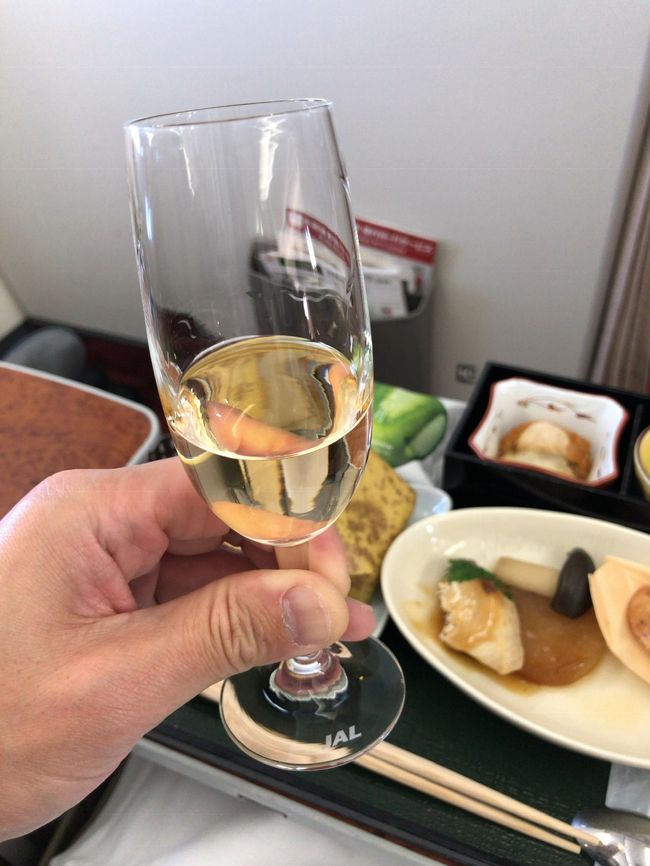 航空会社の上級会員のステータスを獲得する為に飛行機に乗りまくる事を『修行』と呼びます。<br />2017年JALの上級会員『JGCサファイア』を獲得し、1つのゴールを迎えたつもりでした。<br />ところが周りが次々と更に上のステータス、ワンワールドエメラルドに相当する『JGCプレミア』、『JGCダイヤモンド』を次々と獲得。<br />スターアライアンスやスカイチームと違ってワンワールドは上級会員が二段構えなのね…。<br />色々見てると継続するかは別として、ちょっとそっちの世界を覗いてみたくなりました。<br />ちょうど2017年に獲得したステータスで使えるキャンペーン『お好きな1ヶ月いつでもFLY ONポイント2倍キャンペーン』が使える!<br />これは国内線に限られますが上級会員のステータスを獲得するのに必要なFLY ONポイント(以下FOP)が倍に近く溜まる有難いキャンペーンです。<br />これをスタートダッシュを決める為2019年の1月に設定。<br />それに合わせて修行ルートの王道とも言える羽田-那覇便をこれでもかと言うくらい予約を入れてみました。<br />せっかくの1月の3連休を海外にも行かずひたすら那覇を往復する事になるとは…(笑)<br />よもや旅行記でも何でもありませんが、備忘録代わりに書かせて頂きます。<br />面白半分で見てやって下さい。<br />それでは旅行記スタートです!