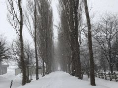 ほぼ初！札幌旅行日記。