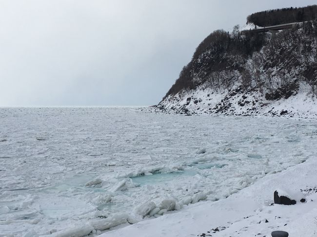 ずっと見てみたいと思っていた流氷を堪能しに、週末土日で道東の知床・網走に行ってきました。<br />と言いながら、女満別往復の航空券と網走の宿をツアーで手配する以外は何もしてなくて、出発の2週間ほど前にネットで流氷ツアーを調べてみたら軒並み満席(^_^;)<br />１名とのこともあり、なんとか電話して予約することができました♪<br /><br />【行程】<br />2/2 東京～女満別～ウトロ（流氷ウォーク）～斜里～網走<br />2/3 網走（砕氷船オーロラ号）～北浜～網走～女満別～東京<br /><br />【フライト】<br />02 FEB JL 565 Y HND MMB 0655 0840 <br />03 FEB JL 566 Y MMB HND 2015 2215<br />（JTBツアーで手配したJALエコノミー航空券「羽田(HND)/女満別(MMB)/羽田(HND)」）<br /><br />【宿泊】<br />2/2 網走　網走ロイヤルホテル　シングル<br />（JTBツアーに込み）