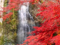 はじめて「箕面の滝」に紅葉見に行った。