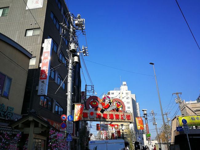 年末年始は今年も仕事で自宅に戻れず。1月3連休で自宅に戻りました。<br />2019年の思い出として往復の様子と大阪に行ったことや東京に戻って巣鴨に行ったことを綴りたいと思います。<br /><br />※巣鴨は奥さんのお母さんに赤パンツを買ってこいと頼まれて<br /> 行っただけなので巣鴨の写真は少ないです。