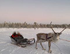 北欧のクリスマス８日間-５-サーリセルカ滞在編3