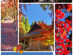 鶏足寺紅葉まだ早かった…太郎坊宮の絶景と、季節違いのひまわり