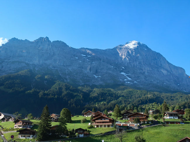 スイス旅行の締めくくりは、グリンデルワルト周辺のユングフラウ地方の観光です。<br />午前中はメンリッヒェンからクライネ・シャイデックまでをハイキング。<br />午後は登山電車でユングフラウヨッホへ行き、アレッチ氷河などの雄大な景色を楽しみます。<br />ツアー７日目は観光もなく、チューリッヒ空港から帰国の途に就きました。<br /><br />スイス訪問歴５０回以上という敏腕添乗員さんにも恵まれたおかげで、思い出に残る旅がまた一つ増えました。<br /><br />--*--*--*--*--*--*--*--*--*--*--*--*--*--*--*--*--*--*--*--:--*--<br />参加ツアー：日本旅行『スイス大自然満喫の旅８日』<br /><br />□8/13　成田→チューリッヒ（サンモリッツ泊）<br />□8/14　ベルニナ線乗車、ディアボレッツァ展望台（サンモリッツ泊）<br />□8/15　氷河特急、ローヌ氷河（ツェルマット泊）<br />□8/16　マッターホルン観光、ハイキング（ツェルマット泊）<br />□8/17　モンブラン観光（グリンデルワルト泊）<br />■8/18　ハイキング、ユングフラウヨッホ観光（グリンデルワルト泊）<br />■8/19　チューリッヒ→（機内泊）<br />■8/20　→成田