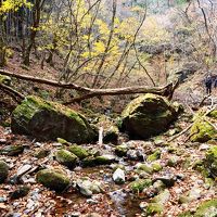 2018秋　御岳渓谷紅葉散策と武蔵御嶽神社詣