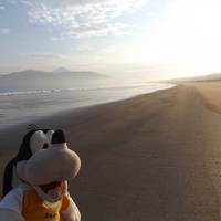 グーちゃん、唐津へ行く！（絶景！朝の虹の松原のビーチ！編）