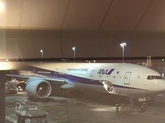 2019年1月14日、NH109（JFK→HND）搭乗記　～久しぶりの長距離ビジネス、帰りは少し長いね…～