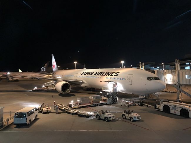 沖縄タッチ合宿も後半戦です。<br />空港から出ずにひたすら往復する単純かつ大変なお仕事もまだ半分あります。<br />後半も羽田と那覇をひたすら往復。<br />画像もマンネリですが、ご了承下さい(笑)<br />それでは後半スタートです!
