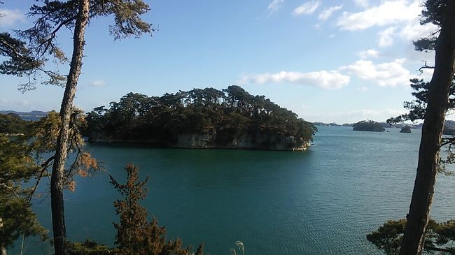 東京発日帰り？ワンデー松島　2019・01（前編）