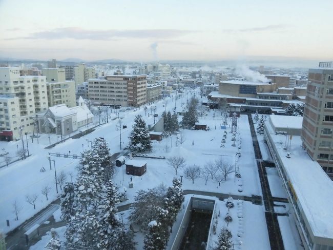 この時期の北海道は、吹雪などで旅客機の離着陸ができないなど、<br />怖いニュースが目立ちますが、思い切って訪れてよかったです。<br />極寒の旭川は、冬ならではの楽しみがありました!<br /><br />地元の方々は毎年雪との闘いであるため、<br />「遊びどころではないんだ」というものだとは思いますが、<br />観光客目線では、非日常を体験し、<br />地元の方々は雪とこんな風につきあって共存しているのだ、<br />というものを感じ取ることができました。<br />冬の旭川は、意外な穴場でした。<br /><br />最後に、<br />復興を目的とした北海道庁さんのご厚意により、<br />格安の旅行が楽しめたことに感謝いたします。<br />復興企画でなければ選択しなかったであろう「旭川」の<br />魅力を大いに発見し、大ファンになりました。<br />北海道は地域地域で異なる顔を持ち、<br />季節ごとの楽しみもあり、飽きることがありません。<br />今後も観光立国を目指す日本の先導役として、<br />北海道から全国に発信していってほしいと思います。<br />