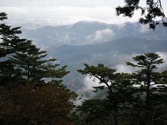 低登山ー大山参拝