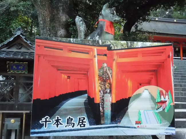 　フェリーの旅で京都の三社詣と醍醐寺に行きました。<br /><br />　こちらの旅行記では伏見稲荷大社を掲載しています。<br />御茶屋の公開がありましたが、あんまり時間がないので見なかったです。<br />前１回見ているのでいいかな・・・。<br />今度行った時は見てみようと思います。
